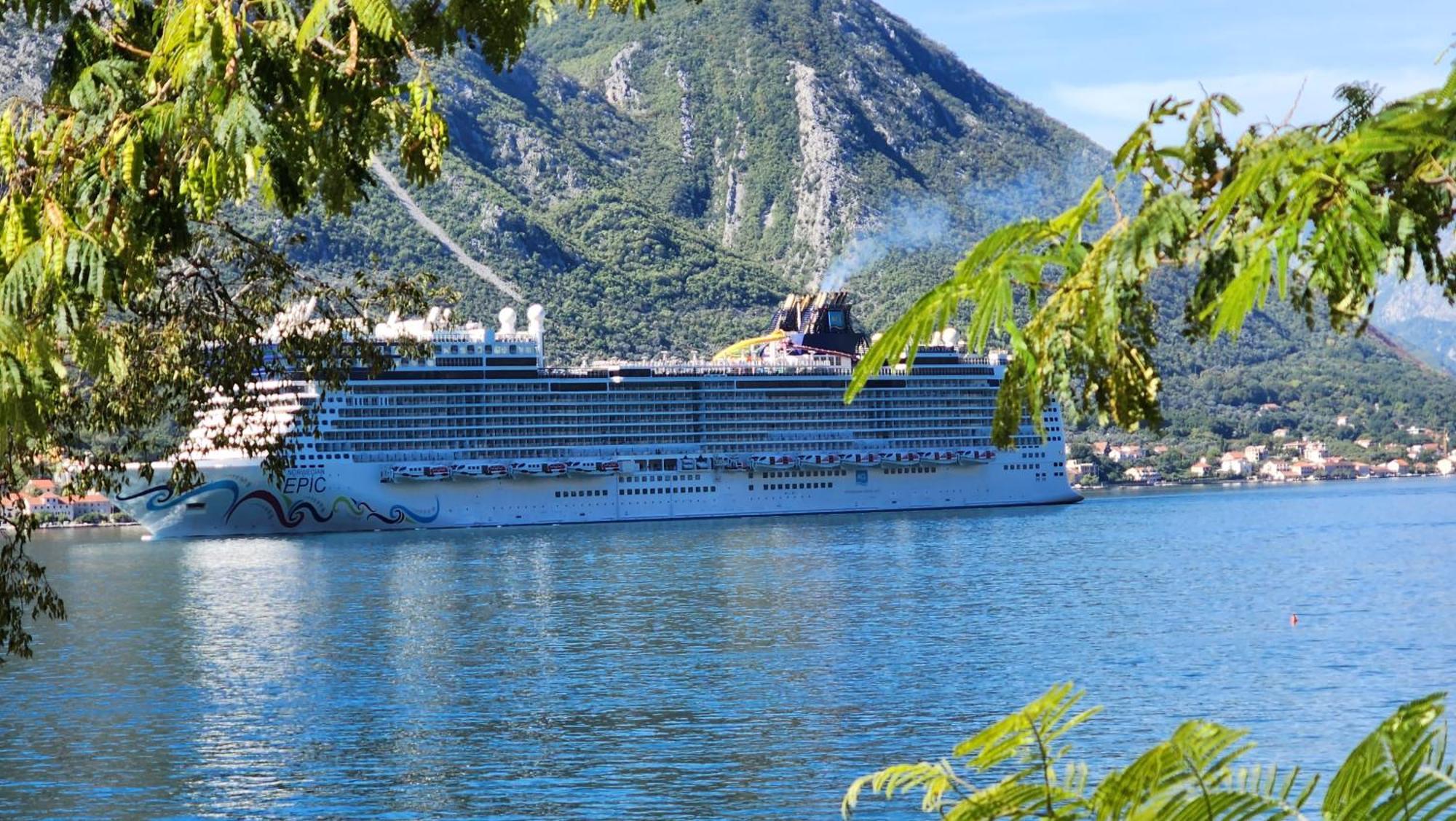 Montenegro Apartmant'S 科托尔 外观 照片